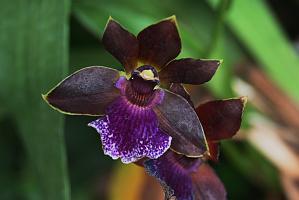 2025-01156006 Tower Hill Botanic Garden, MA